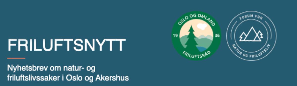 Skjermbilde 2024-08-22 kl. 10.03.54.jpg